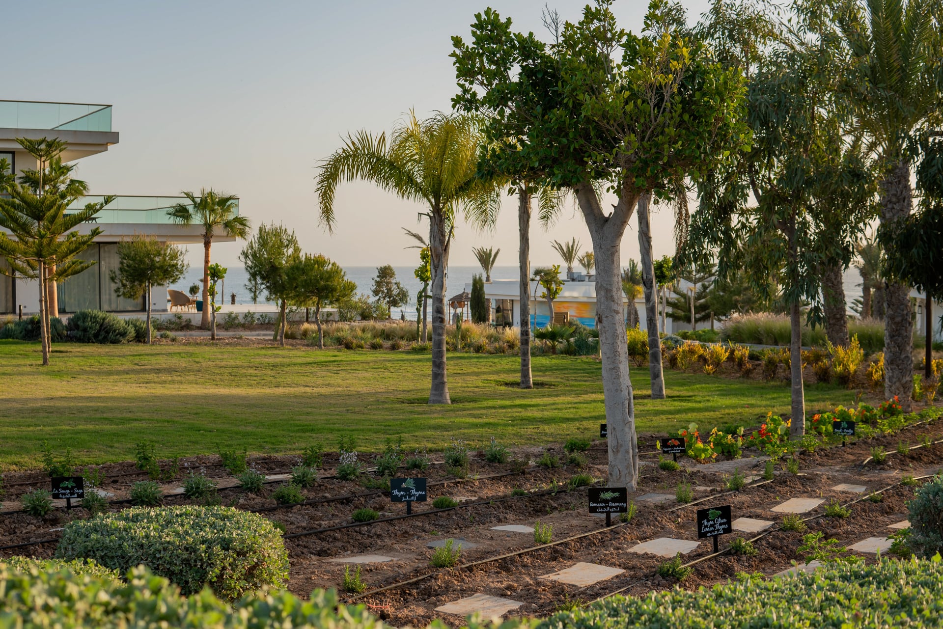 Marokko Agadir Hyatt Regency Taghazout Garten